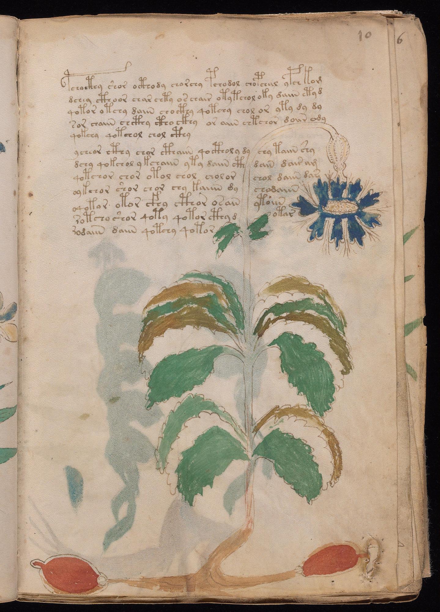 Herbal Page 19